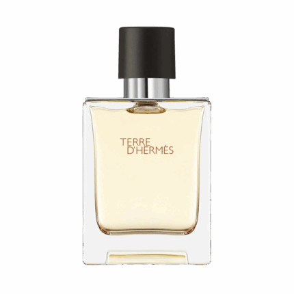 TERRE D'HERMÈS EAU DE TOILETTE